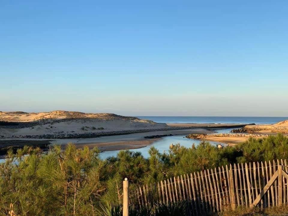 Les Dunes De Contis 波讷地区圣朱利安 外观 照片